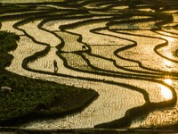 Villagers are working in a terraced field in Shiyuan village of Bijie city, Southwest China's Guizhou province, on May 13, 2024. (