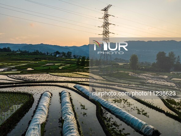 Villagers are working in a terraced field in Shiyuan village of Bijie city, Southwest China's Guizhou province, on May 13, 2024. 