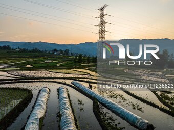 Villagers are working in a terraced field in Shiyuan village of Bijie city, Southwest China's Guizhou province, on May 13, 2024. (