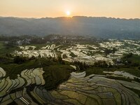 A photo taken on May 13, 2024, shows the rice terraces of Xiaotun in Shiyuan village, Bijie City, Southwest China's Guizhou province. (