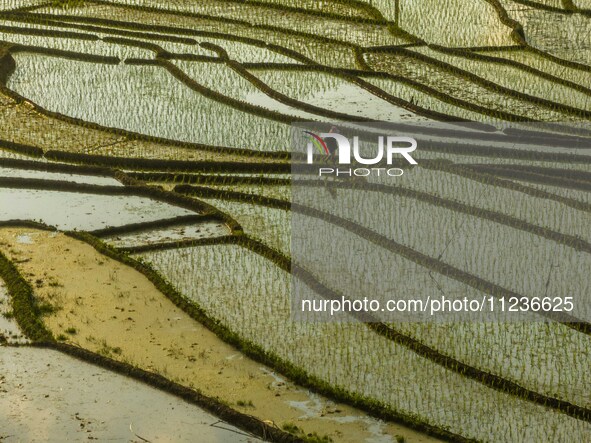 Villagers are working in a terraced field in Shiyuan village of Bijie city, Southwest China's Guizhou province, on May 13, 2024. 