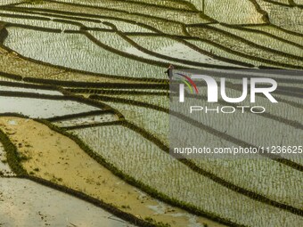 Villagers are working in a terraced field in Shiyuan village of Bijie city, Southwest China's Guizhou province, on May 13, 2024. (