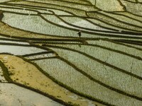 Villagers are working in a terraced field in Shiyuan village of Bijie city, Southwest China's Guizhou province, on May 13, 2024. (