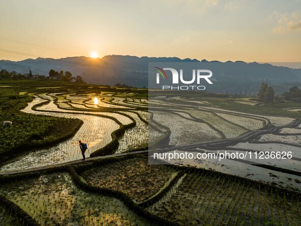 Villagers are working in a terraced field in Shiyuan village of Bijie city, Southwest China's Guizhou province, on May 13, 2024. 