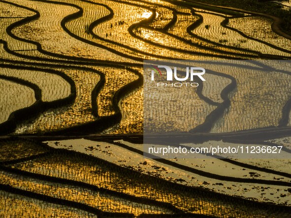 Villagers are working in a terraced field in Shiyuan village of Bijie city, Southwest China's Guizhou province, on May 13, 2024. 