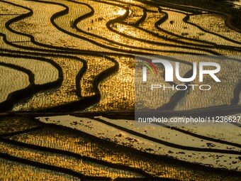 Villagers are working in a terraced field in Shiyuan village of Bijie city, Southwest China's Guizhou province, on May 13, 2024. (