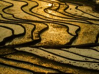 Villagers are working in a terraced field in Shiyuan village of Bijie city, Southwest China's Guizhou province, on May 13, 2024. (