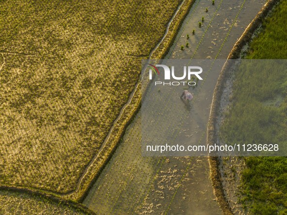 Villagers are working in a terraced field in Shiyuan village of Bijie city, Southwest China's Guizhou province, on May 13, 2024. 