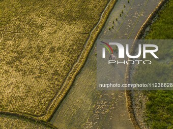 Villagers are working in a terraced field in Shiyuan village of Bijie city, Southwest China's Guizhou province, on May 13, 2024. (