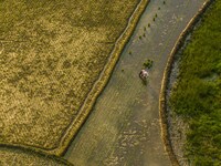 Villagers are working in a terraced field in Shiyuan village of Bijie city, Southwest China's Guizhou province, on May 13, 2024. (