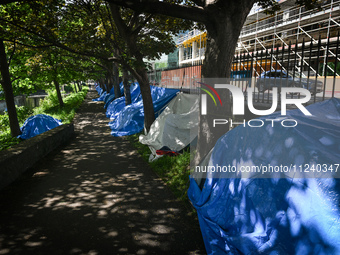 DUBLIN, IRELAND - MAY 14:
A line of asylum seekers tents along the Grand Canal, on May 14, 2024, in Dubin, Ireland. (Photo by Artur Widak/Nu...