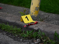 A shell casing is being seen next to an evidence marker at the crime scene. Two people are being shot in Chicago, Illinois, United States, o...