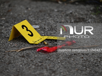 A shell casing is being seen next to an evidence marker at the crime scene. Two people are being shot in Chicago, Illinois, United States, o...