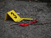 A shell casing is being seen next to an evidence marker at the crime scene. Two people are being shot in Chicago, Illinois, United States, o...