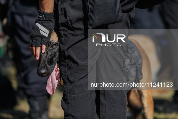 An Indonesian K-9 military dog is taking part during a security assembly ahead of The 10th World Water Forum 2024 in Denpasar, Bali, Indones...