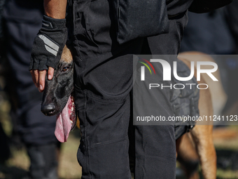 An Indonesian K-9 military dog is taking part during a security assembly ahead of The 10th World Water Forum 2024 in Denpasar, Bali, Indones...