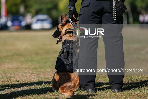 An Indonesian K-9 military dog is taking part during a security assembly ahead of The 10th World Water Forum 2024 in Denpasar, Bali, Indones...