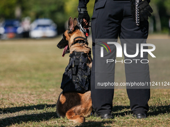 An Indonesian K-9 military dog is taking part during a security assembly ahead of The 10th World Water Forum 2024 in Denpasar, Bali, Indones...