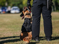 An Indonesian K-9 military dog is taking part during a security assembly ahead of The 10th World Water Forum 2024 in Denpasar, Bali, Indones...