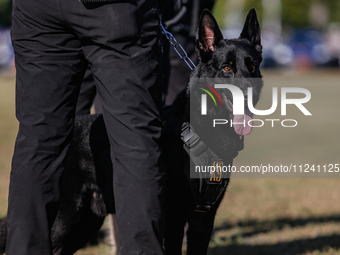 An Indonesian K-9 military dog is taking part during a security assembly ahead of The 10th World Water Forum 2024 in Denpasar, Bali, Indones...