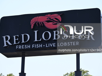 The signage of Red Lobster is being seen at 5201 S Pulaski Rd in Chicago, Illinois, United States, on May 15, 2024. Red Lobster is consideri...