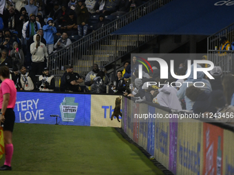 A raccoon is trying to escape after invading the pitch during the first half of the Philadelphia Union vs. New York City FC match at Subaru...