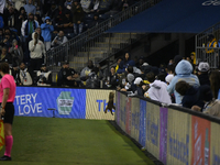 A raccoon is trying to escape after invading the pitch during the first half of the Philadelphia Union vs. New York City FC match at Subaru...