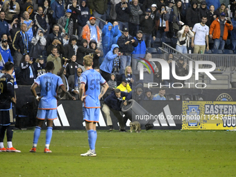 Attempts are being made to capture a pitch-invading raccoon with a garbage can, causing a five-minute delay during the first half of the Phi...