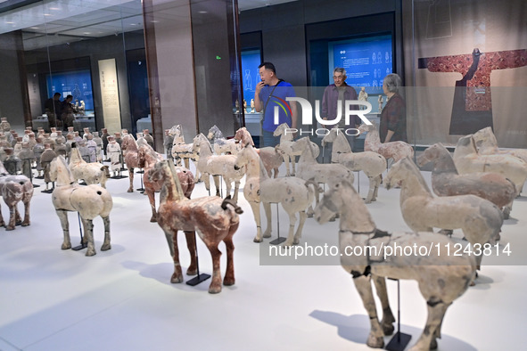 Visitors are looking at a cultural relics exhibition at Qingzhou Museum in East China's Shandong province, on May 16, 2024. 