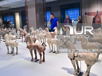 Visitors are looking at a cultural relics exhibition at Qingzhou Museum in East China's Shandong province, on May 16, 2024. (