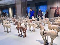 Visitors are looking at a cultural relics exhibition at Qingzhou Museum in East China's Shandong province, on May 16, 2024. (