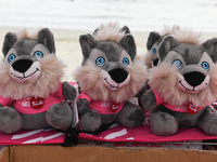 Giro d'Italia wolf mascots on a stand prior to the 107th Giro d'Italia 2024, Stage 12, a 207km stage from Martinsicuro to Fano is seen in Ma...