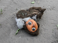 A torn Cheburashka toy is lying on the ground after a Russian rocket strike in Dnipro, Ukraine, on May 15, 2024. NO USE RUSSIA. NO USE BELAR...