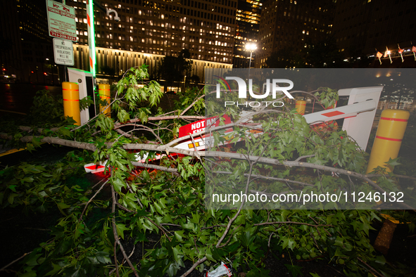 A tree is wrapping around a damaged security gate after the storm in City, Country, on May 16, 2024. 