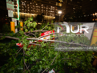 A tree is wrapping around a damaged security gate after the storm in City, Country, on May 16, 2024. (