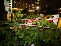 A tree is wrapping around a damaged security gate after the storm in City, Country, on May 16, 2024. (