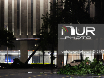 A tree is being seen uprooted in downtown Houston, Texas, on May 16, 2024. (