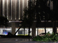 A tree is being seen uprooted in downtown Houston, Texas, on May 16, 2024. (