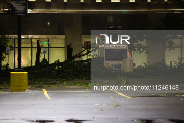 Fallen trees are lining the streets of downtown Houston, Texas, on May 16, 2024. 