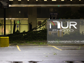 Fallen trees are lining the streets of downtown Houston, Texas, on May 16, 2024. (