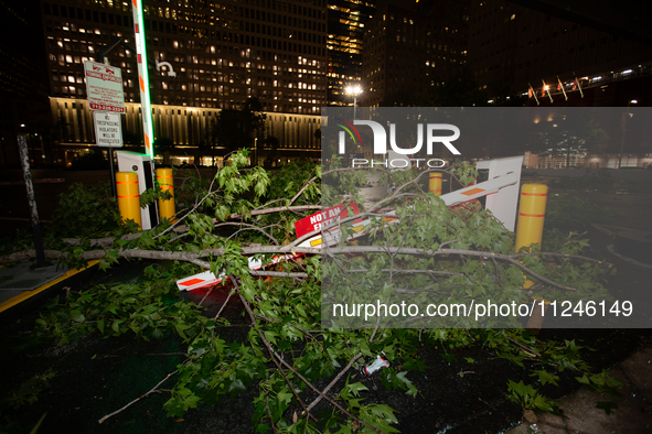 A tree is wrapping around a damaged security gate after the storm in City, Country, on May 16, 2024. 