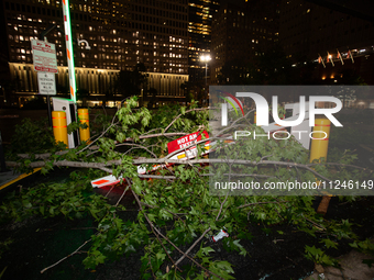 A tree is wrapping around a damaged security gate after the storm in City, Country, on May 16, 2024. (