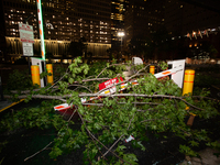 A tree is wrapping around a damaged security gate after the storm in City, Country, on May 16, 2024. (