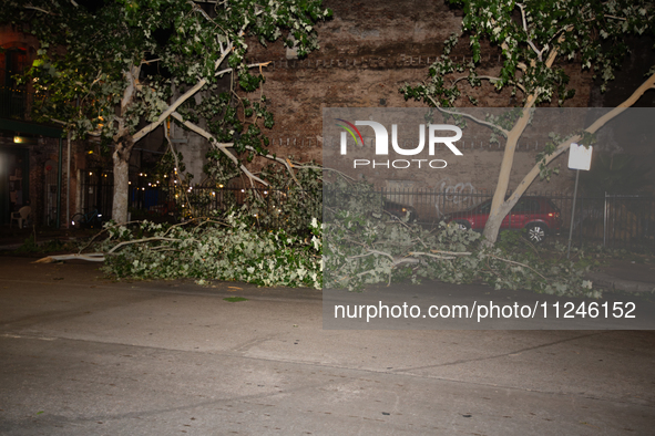 Fallen trees are lining the streets of downtown Houston, Texas, on May 16, 2024. 