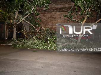 Fallen trees are lining the streets of downtown Houston, Texas, on May 16, 2024. (