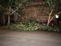 Fallen trees are lining the streets of downtown Houston, Texas, on May 16, 2024. (