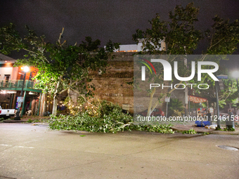 Fallen trees are lining the streets of downtown Houston, Texas, on May 16, 2024. (