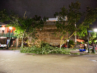 Fallen trees are lining the streets of downtown Houston, Texas, on May 16, 2024. (