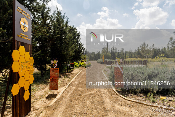 A general view of the park in Nicosia, Cyprus, on April 12, 2024. Bees are being considered a valuable species for the ecosystem, and the At...