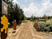 A general view of the park in Nicosia, Cyprus, on April 12, 2024. Bees are being considered a valuable species for the ecosystem, and the At...